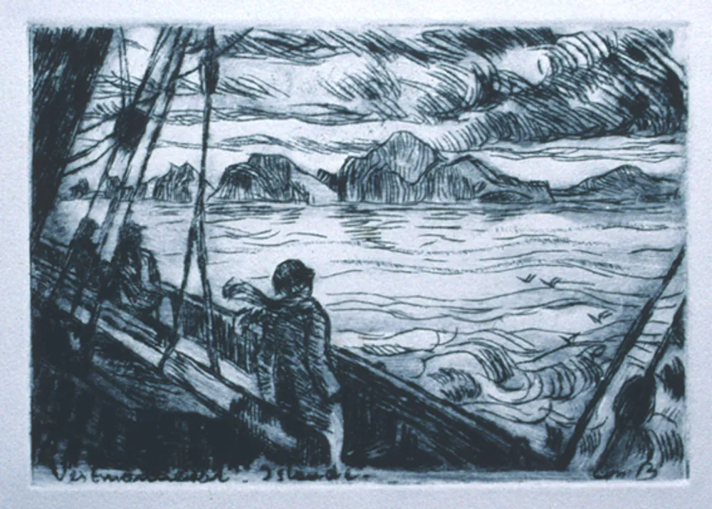 Vestmannaeyjar Islande