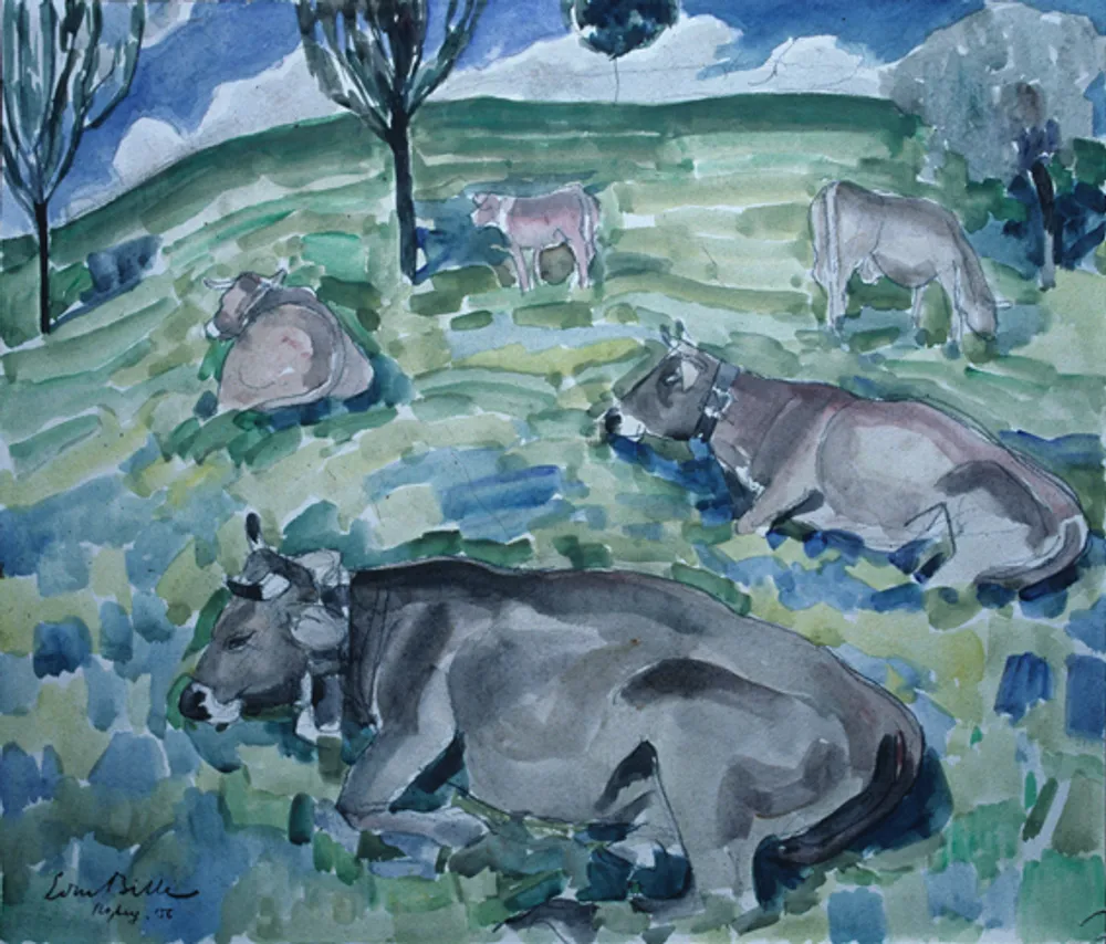 Vaches couchées