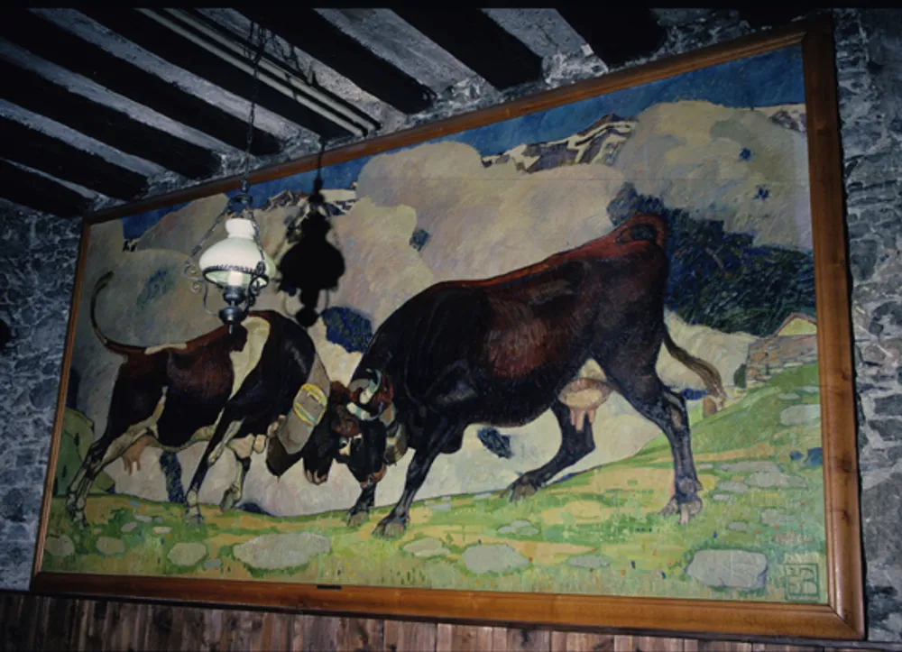 Combat de vaches